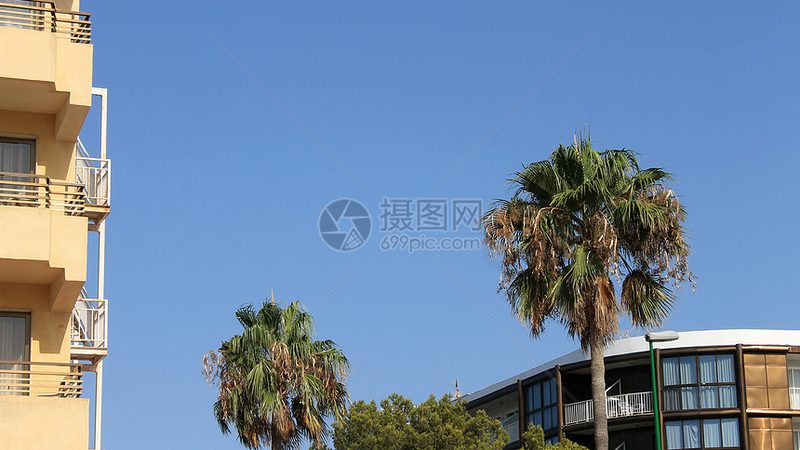 夏令营如何选？揭秘小学生夏令营的挑选秘籍